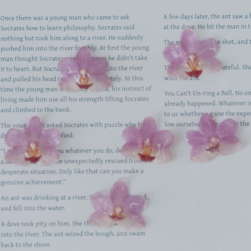 DIY Jewelry Natural Pink Resin - Jewelry Making For Birthday Party ulasan dan harga