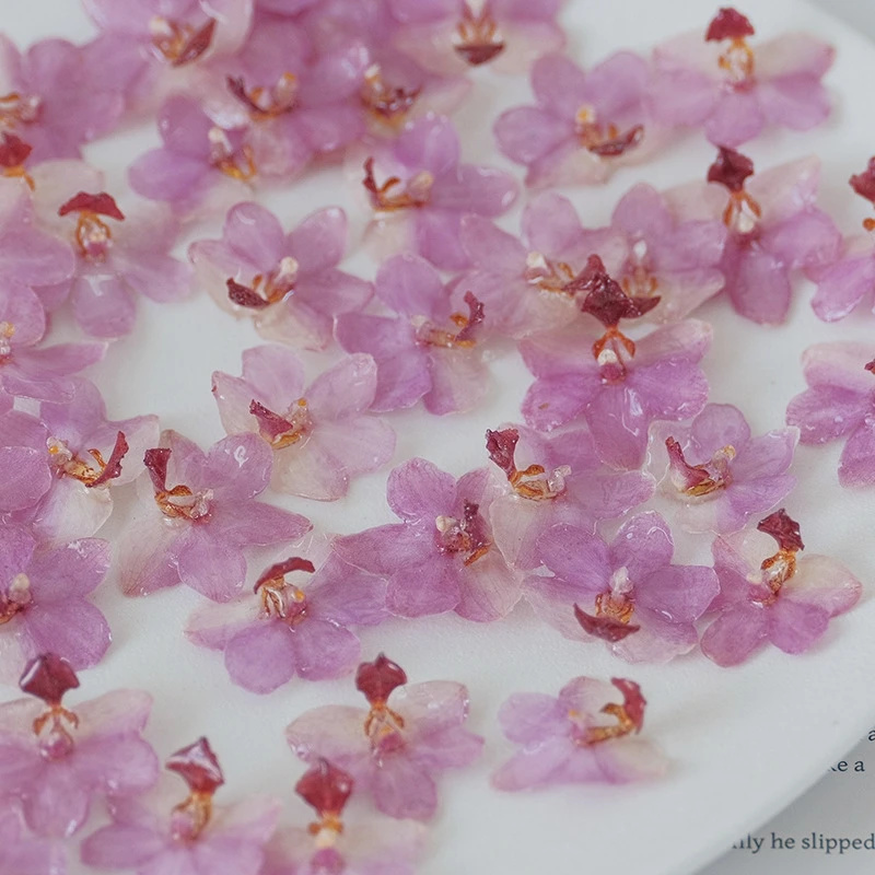 DIY Jewelry Natural Pink Resin - Jewelry Making For Birthday Party ulasan dan harga
