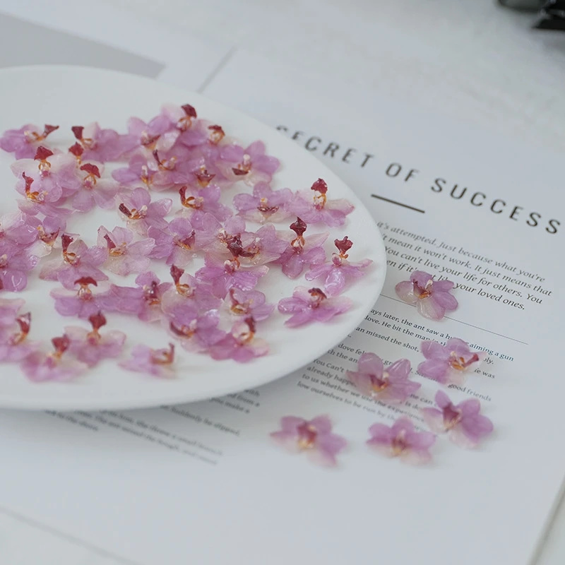 DIY Jewelry Natural Pink Resin - Jewelry Making For Birthday Party ulasan dan harga